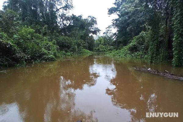 Hostal Búho Amazonas Tours Genel