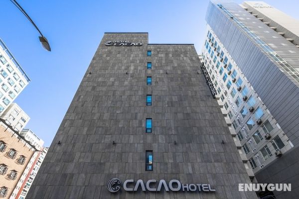 HOTEL CACAO Öne Çıkan Resim