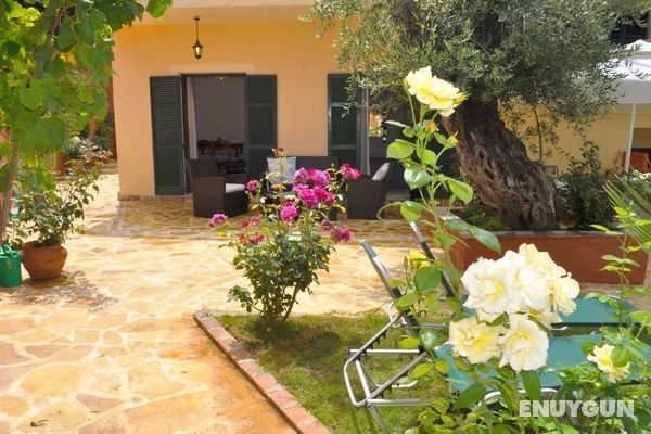 House Angelos D With sea View and Private Garden - Agios Gordios Beach Genel