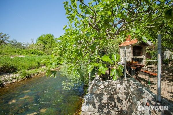 House With Large Garden, Right Next to the River Öne Çıkan Resim