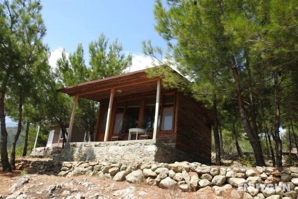 Ida Bay Bungalows Öne Çıkan Resim