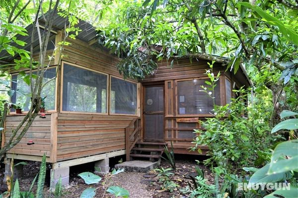 Iguana Roost - A Tourism Gold Standard Approved Equipped two Bedroom Cabin Öne Çıkan Resim
