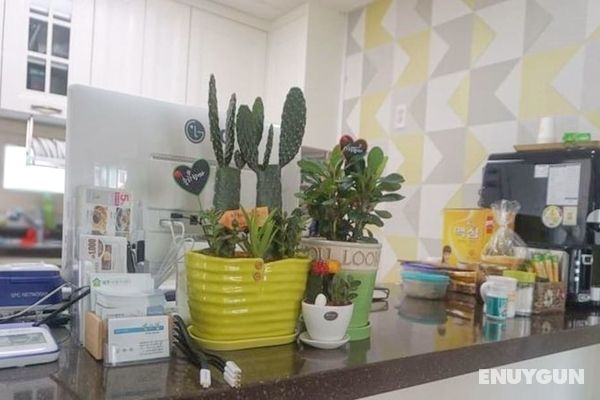 Jeju Shym Dream Guest House Misafir Tesisleri ve Hizmetleri