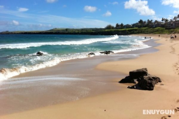 Kapalua Bay Villa 15g5 Ocean View Öne Çıkan Resim