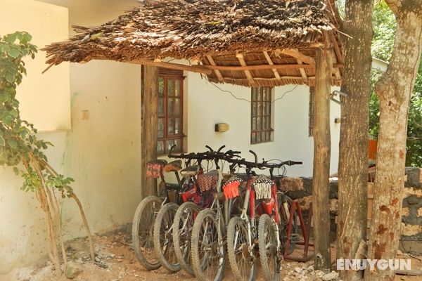 Kilifi Maghreb Genel