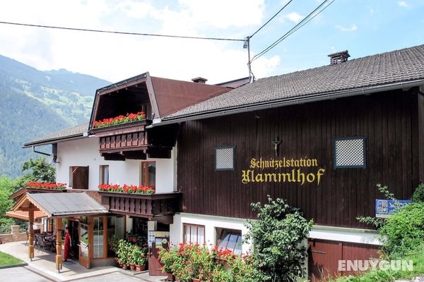 Klammlhof Rohrberg in Rohrberg Öne Çıkan Resim