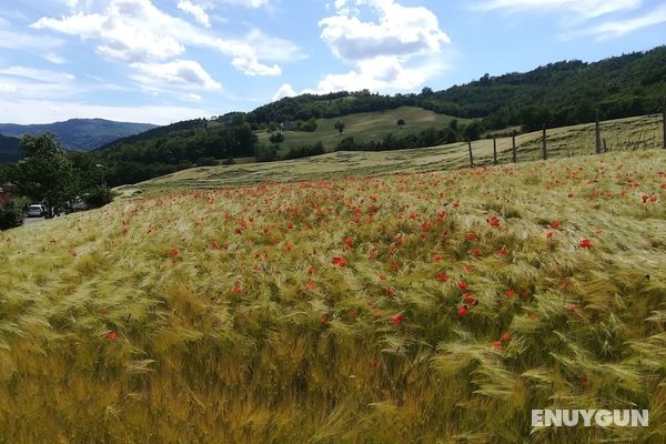 La Cartiera dei Benandanti Genel