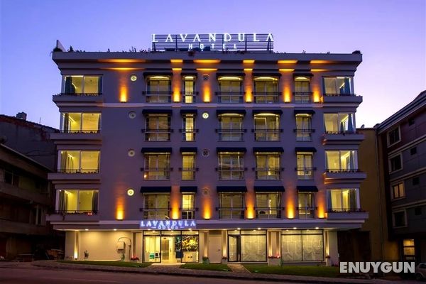 Lavandula Hotel Levent Genel