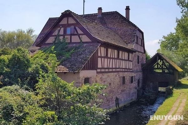 Le Moulin de Krautergersheim Öne Çıkan Resim