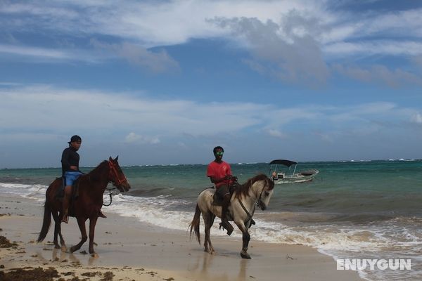 Little Corn Beach and Bungalow Genel