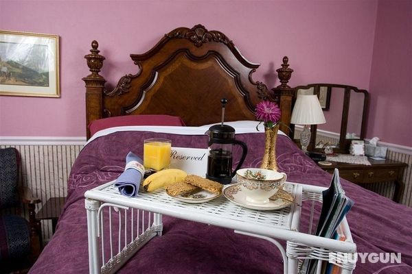 Little English Guesthouse Bed and Breakfast Genel