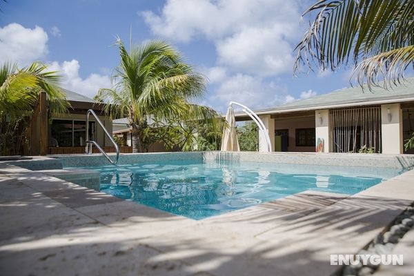 Little Jungle Apartments Aruba Öne Çıkan Resim