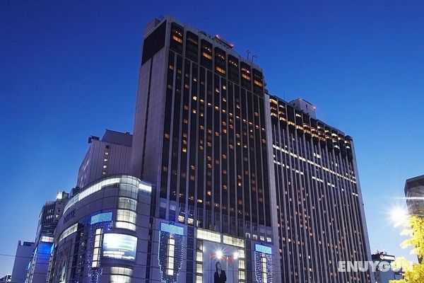 Lotte Hotel Seoul Genel