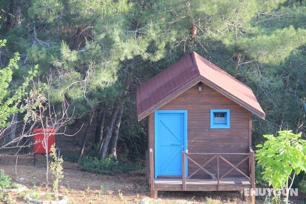 Lovely Bungalow Surrounded by Nature in Kusadasi Oda