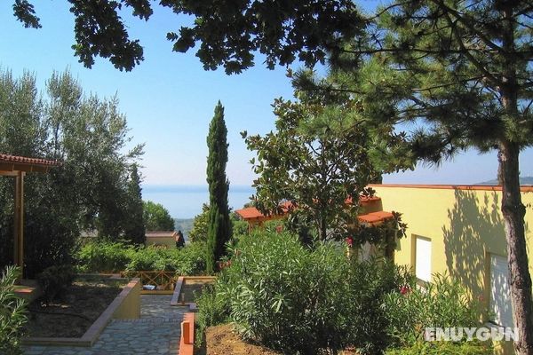Luxurious Holiday Home in Palinuro Italy With Swimming Pool Öne Çıkan Resim