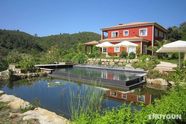 Luxurious Villa in Monchique With Private Swimming Pool Öne Çıkan Resim