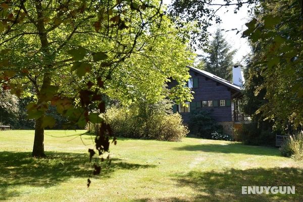 Luxury Pet Friendly Chalet in Bièvre near Forest Dış Mekan