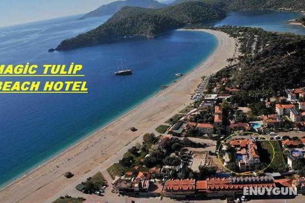 MagicTulip Beach Hotel Genel