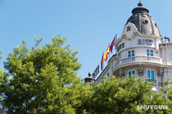 Mandarin Oriental Ritz, Madrid Genel
