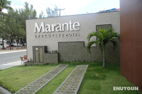 Marante Executive Genel
