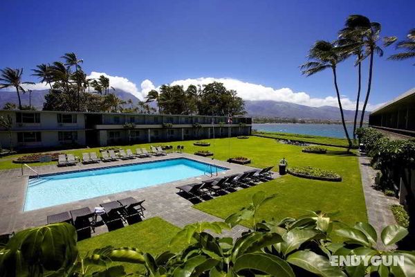 Maui Seaside Hotel Genel