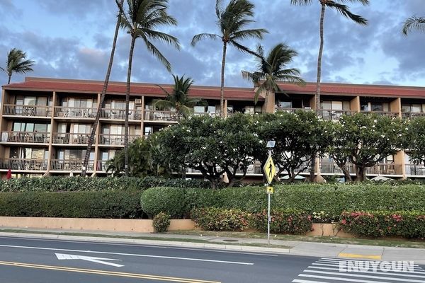Maui Vista 1218 Öne Çıkan Resim