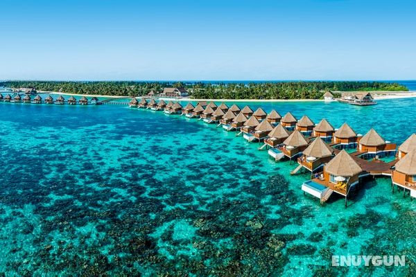 Mercure Maldives Kooddoo Resort Genel