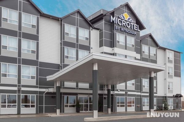 Microtel Inn & Suites by Wyndham Ladysmith Oyster Genel