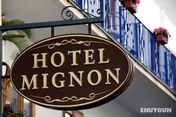 Hotel Mignon Genel