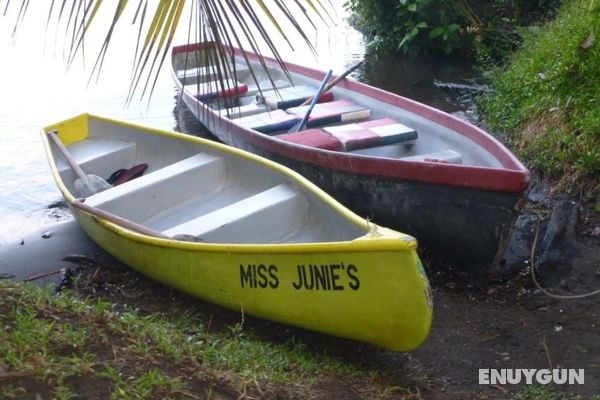 Miss Junies Lodge Genel
