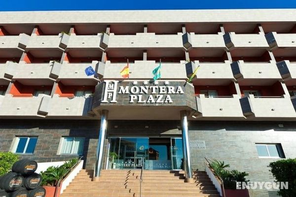 Montera Plaza Genel