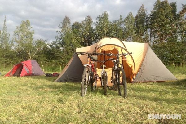 Mount Kenya Ecocamp & Villas Genel