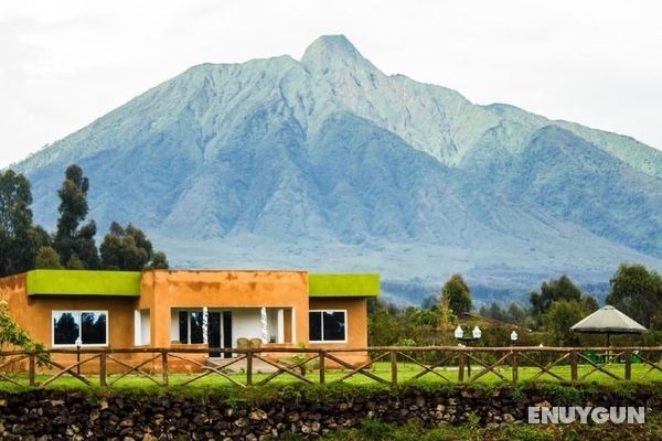 Mountain Gorilla View Lodge Öne Çıkan Resim