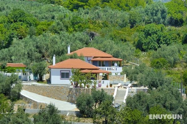 Myrtilos Cottage Öne Çıkan Resim