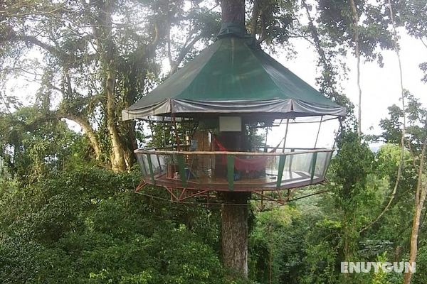 Nature Observatorio Amazing Treehouse Öne Çıkan Resim