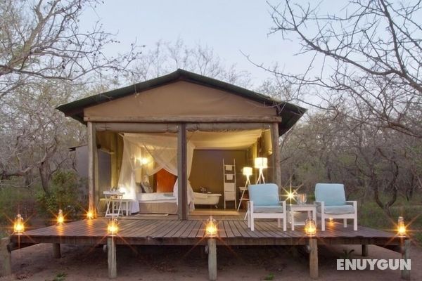 Ngama Tented Safari Lodge Öne Çıkan Resim