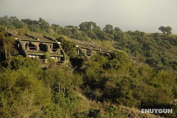 Ngorongoro Serena Safari Lodge Genel