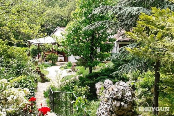 Nice Holiday Home With Beautiful Garden, Bbq, Covered Terrace, Near the Sea Öne Çıkan Resim