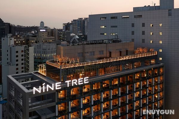 Nine Tree Premier Hotel Myeongdong2 Genel