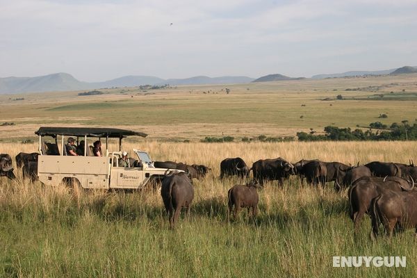 Nkomazi Game Reserve Genel