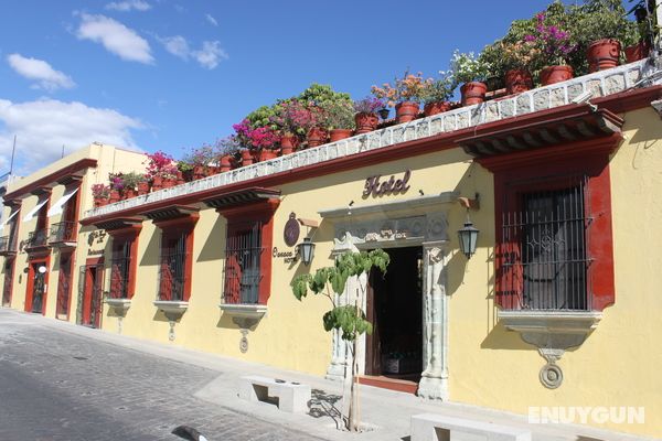 Oaxaca Real Genel