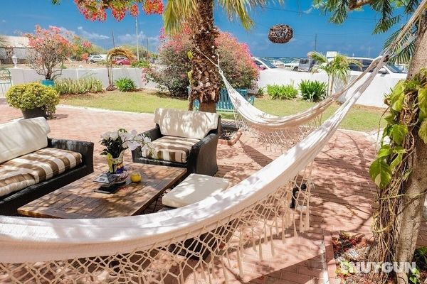 Ocean Front Villa in Aruba - Stunning Full House Dış Mekan