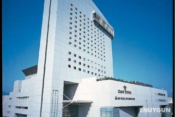 Oita Oasis Tower Hotel Genel