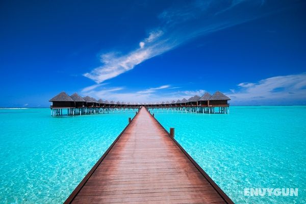 Olhuveli Beach & Spa Maldives Genel