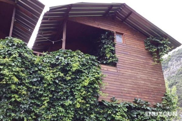 Olympos Camlık Pension Genel