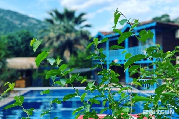 Olympos Çınar Hotel Genel