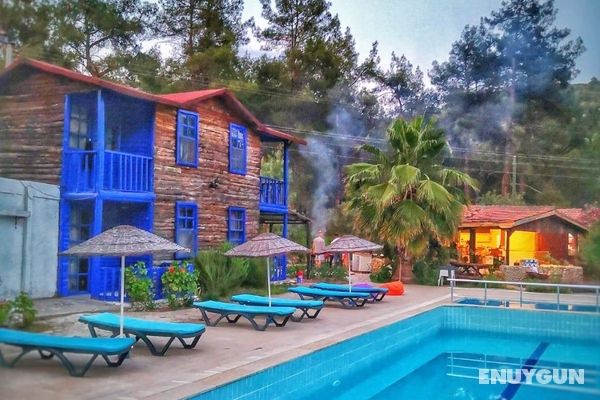 Olympos Forest House Hotel Genel
