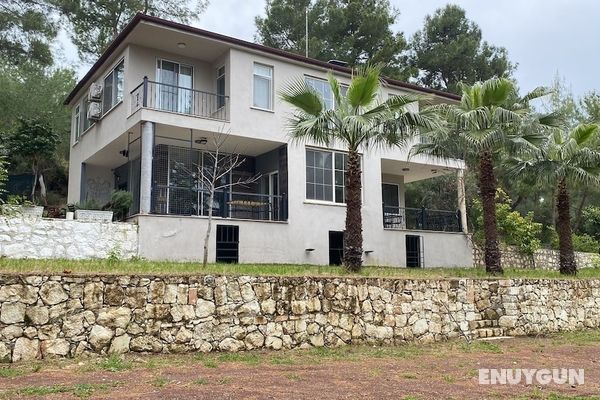 Olympos Villas ve Hotel Öne Çıkan Resim