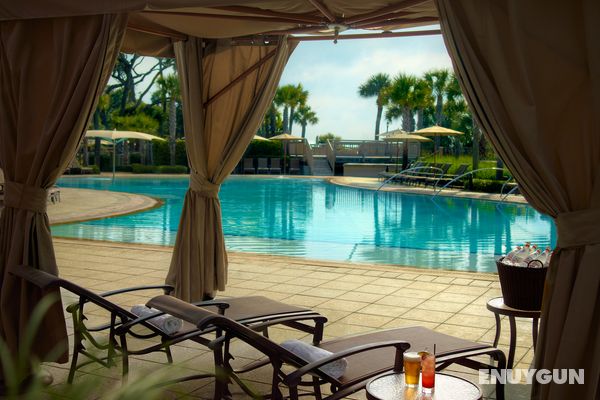 Omni Hilton Head Oceanfront Resort Havuz