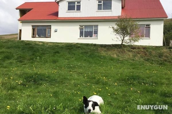 Öndólfsstaðir Farm B&B Öne Çıkan Resim